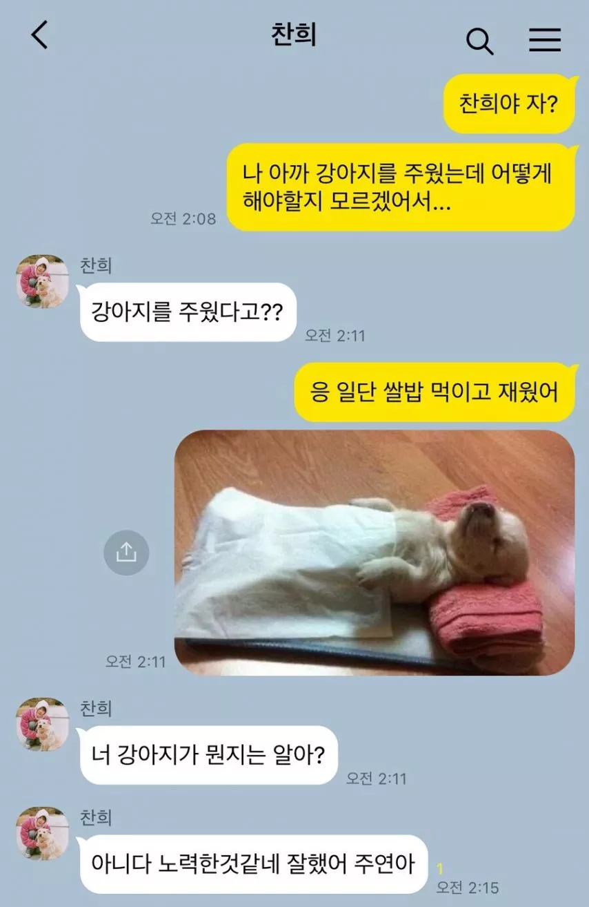 본문 이미지